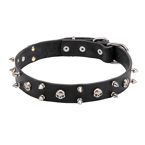 קולר עור ברוחב 30 ממ עם קישוט קוצים וגולגולת-0