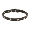 קולר עור ברוחב 20 ממ עם קישוט חצי כדור-0