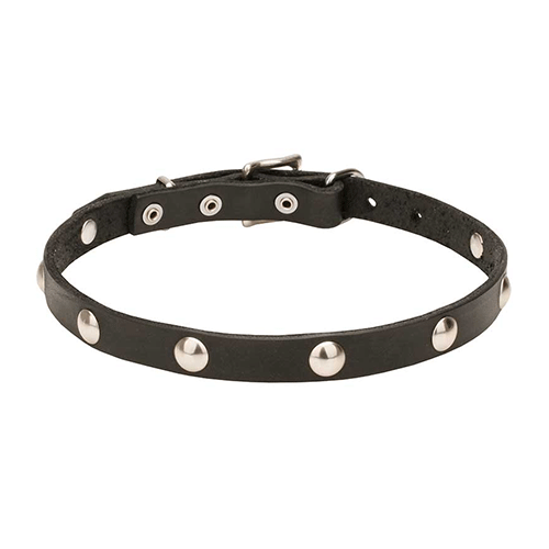 קולר עור ברוחב 20 ממ עם קישוט חצי כדור-0