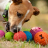 צעצוע לכלב רוגז כדור גומי לעיסה קטן צבע ירוק ליים-2360