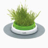 קט איט סנס 2.0 כלי לגידול דשא לחתולים-0