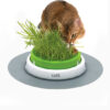 קט איט סנס 2.0 כלי לגידול דשא לחתולים-5366
