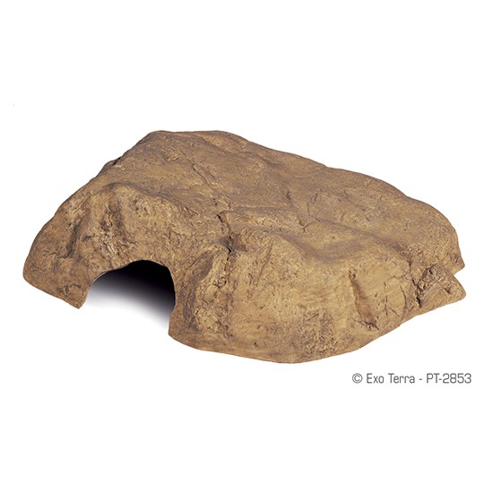 מערה לטרריום זוחלים גדולה pt2853 אקזוטרה-0