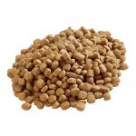 מזון יבש לכלבים